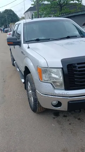 Ford F-150 2012 Silver