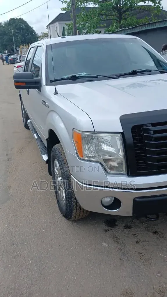 Ford F-150 2012 Silver