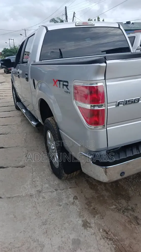 Ford F-150 2012 Silver