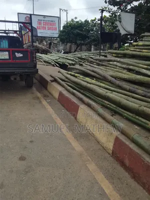 I Sell Bamboo Sticks for Building