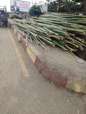 I Sell Bamboo Sticks for Building