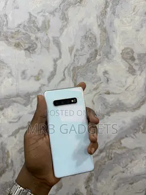 Samsung S10+ Panel