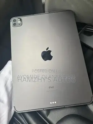 Apple iPad Pro 256 GB Gray