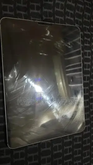 Apple iPad Pro 256 GB Gray