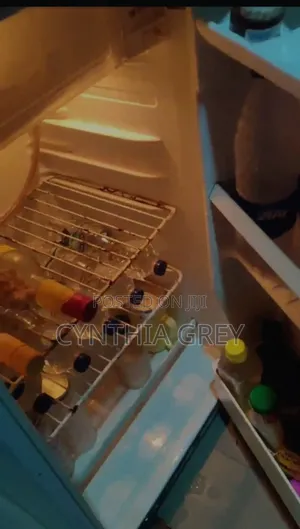 LG Table Top Refrigerator
