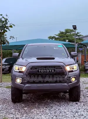 Toyota Tacoma 2017 Gray