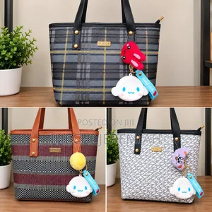 Your Best Plug for Ladies Bag