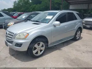 Mercedes-Benz M Class 2010 Silver