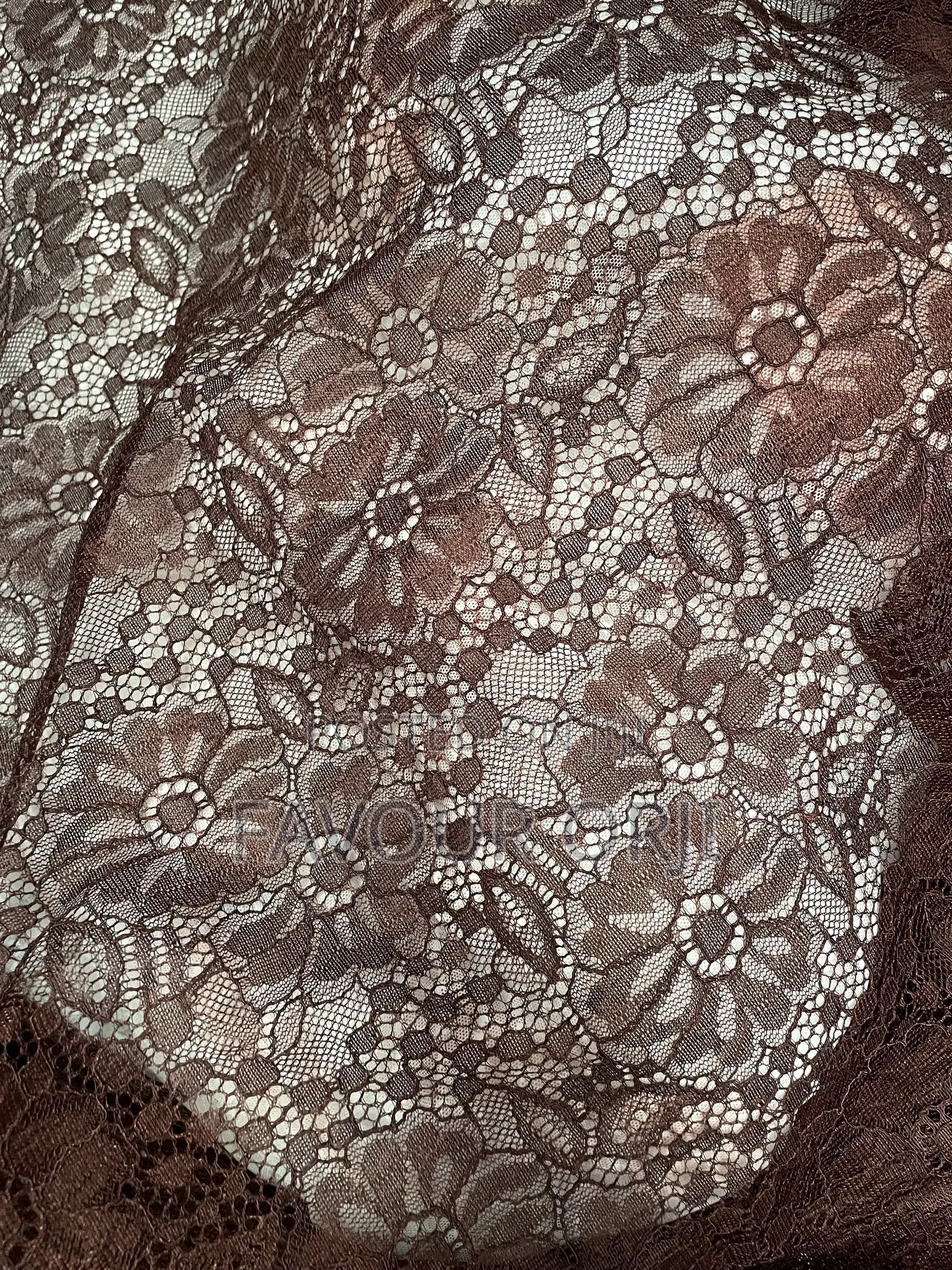 Beautiful Lux Lace Fabric