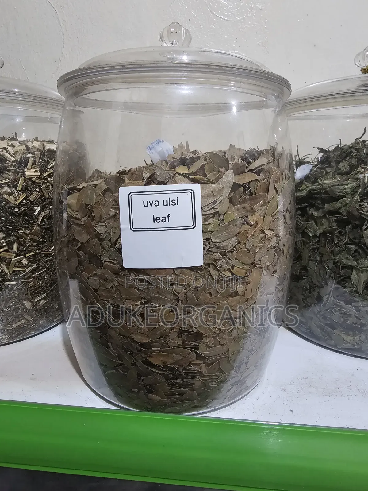 Uva Ursi Leaf 100G Pack