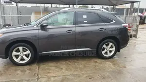 Lexus RX 350 2010 Gray