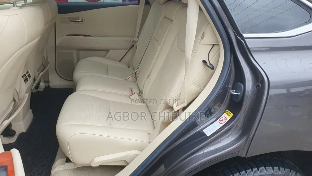 Lexus RX 350 2010 Gray