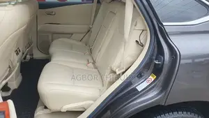 Lexus RX 350 2010 Gray