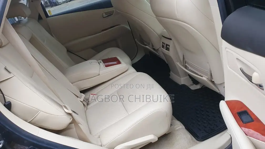Lexus RX 350 2010 Gray