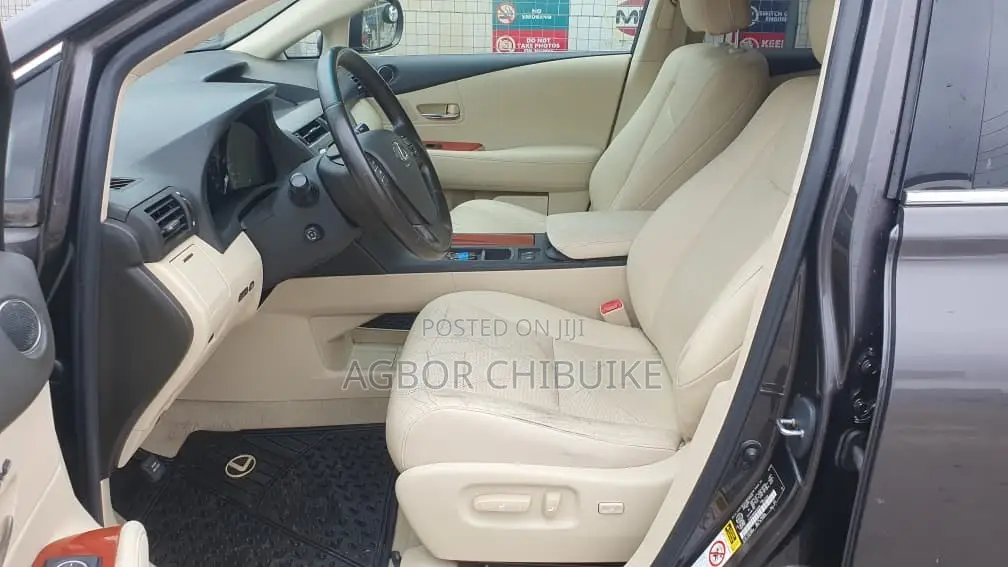Lexus RX 350 2010 Gray