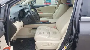Lexus RX 350 2010 Gray