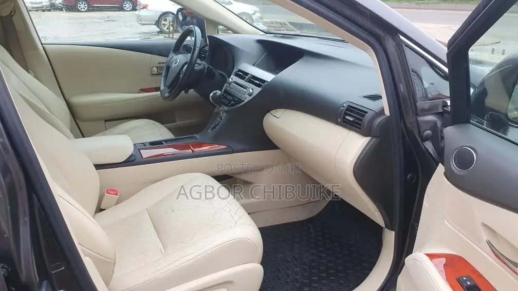 Lexus RX 350 2010 Gray