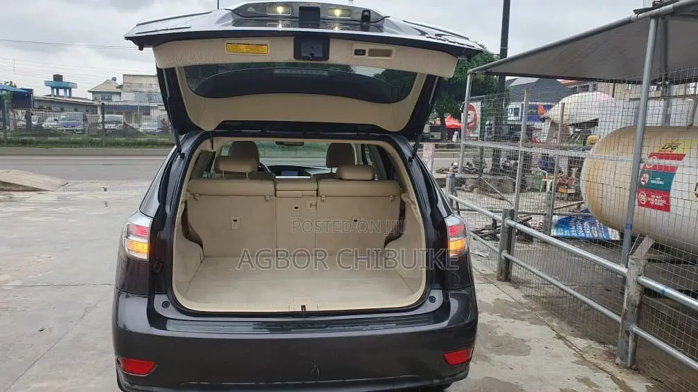 Lexus RX 350 2010 Gray