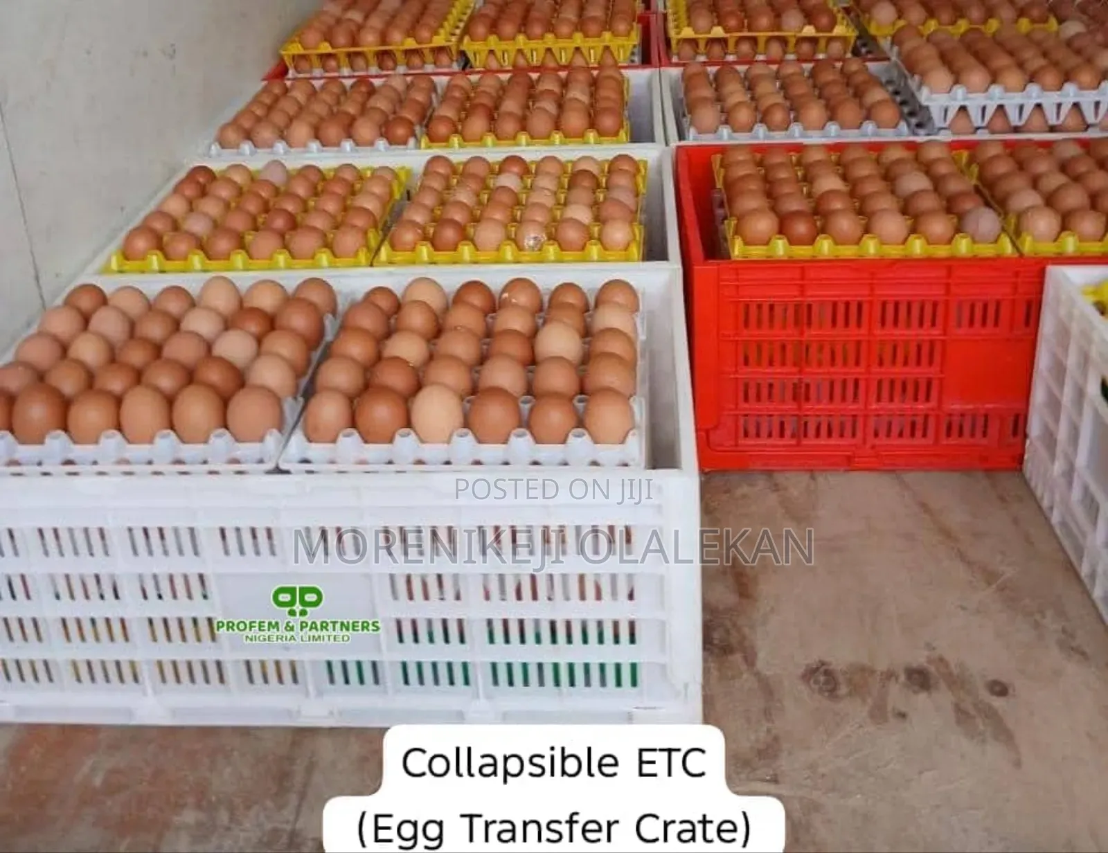 Egg Basket Collapsible