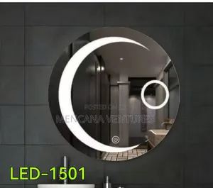 Toilet Mirror