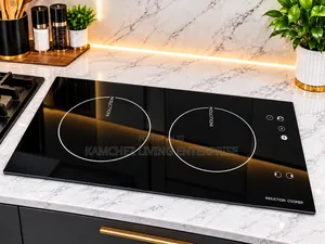 Luxury 2-Burner Induction Cooker