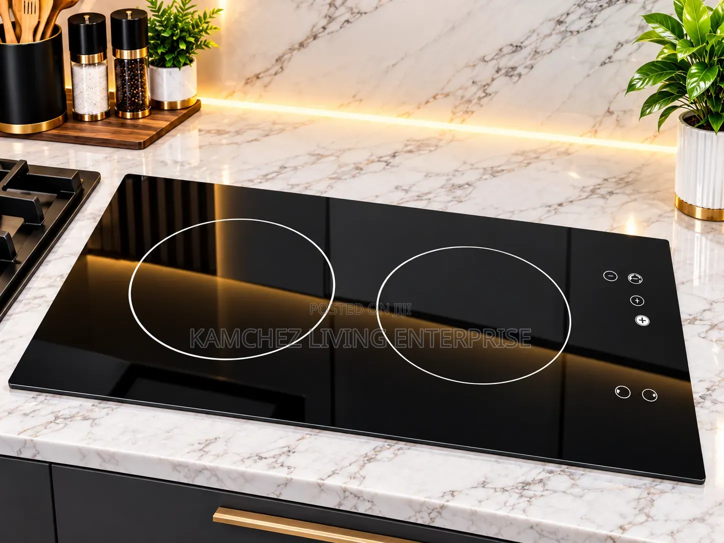 Luxury 2-Burner Induction Cooker