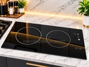 Luxury 2-Burner Induction Cooker