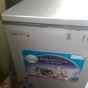 Scanfrost Mini Deep Freezer