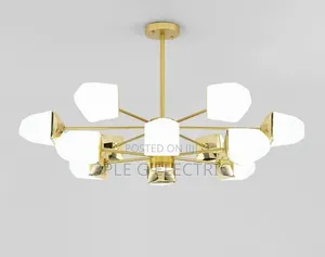 Elegant Indoor Chanderlier