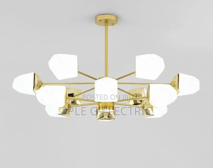 Elegant Indoor Chanderlier