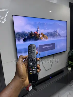 65 Inch LG TV