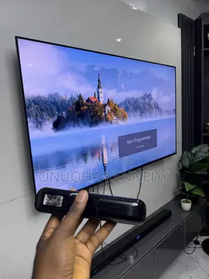65 Inch LG TV