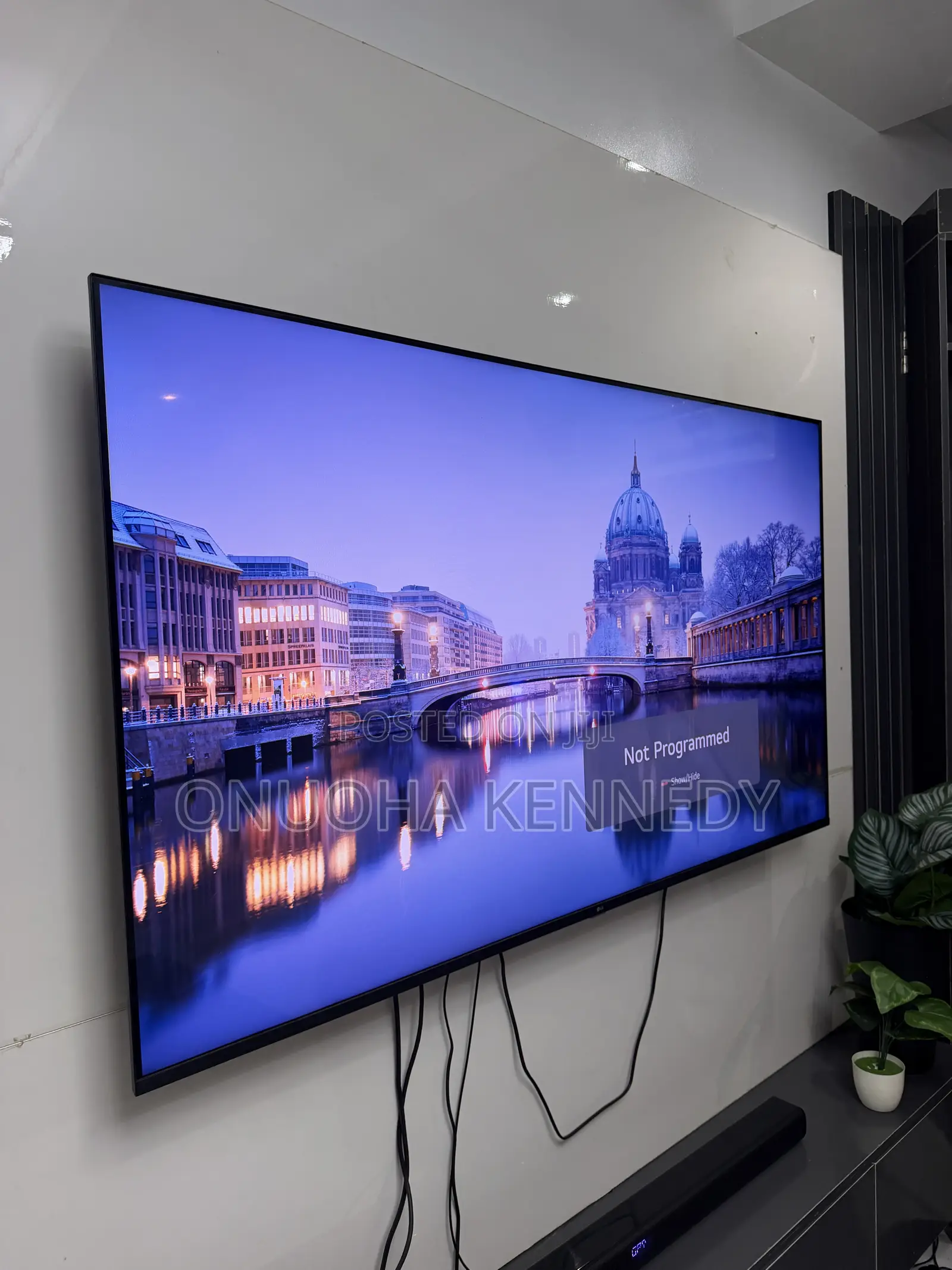 65 Inch LG TV