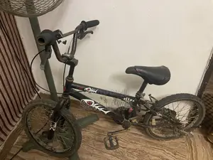 Children Bicycle From Age 4+