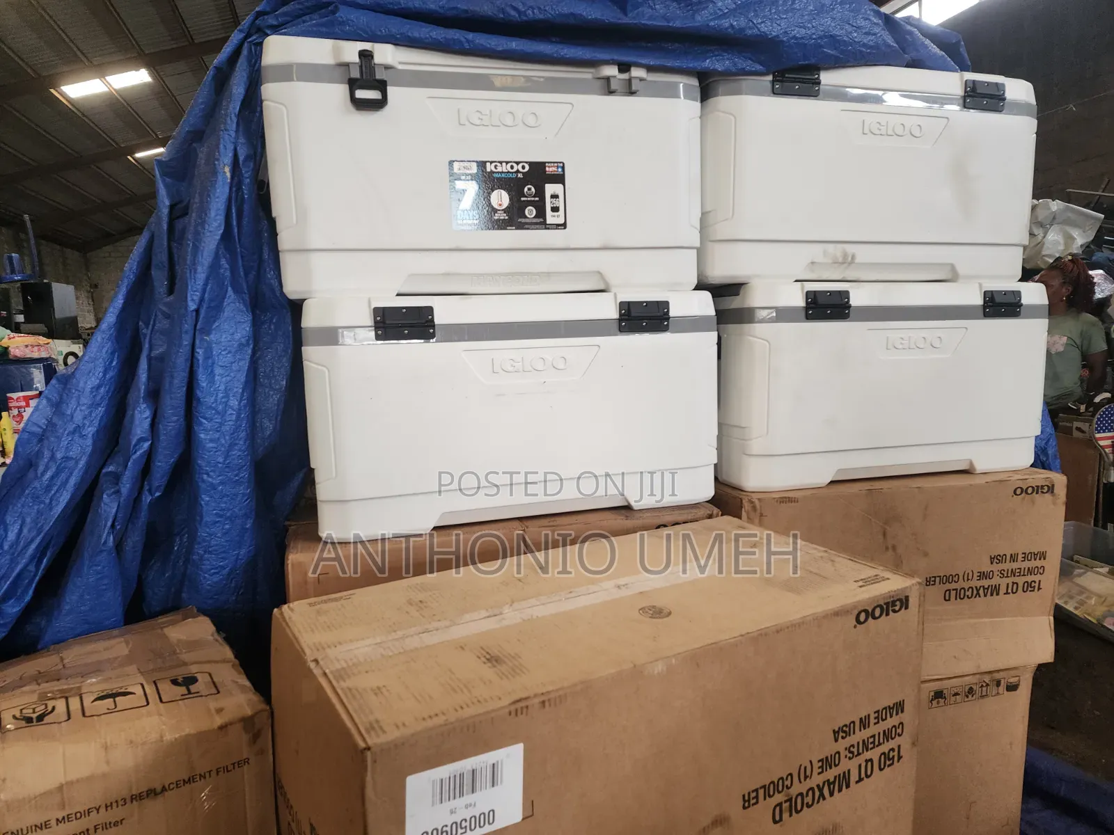 Igloo Max Cold 150qt Cooler