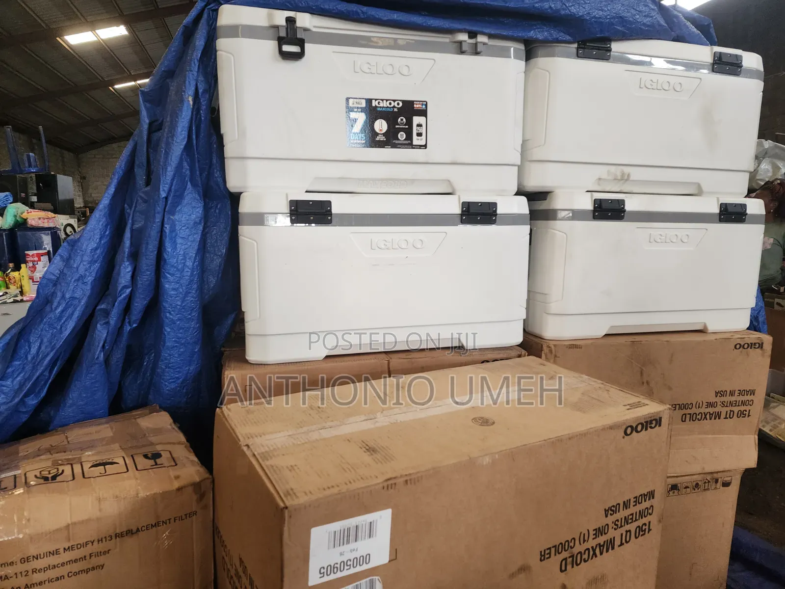 Igloo Max Cold 150qt Cooler