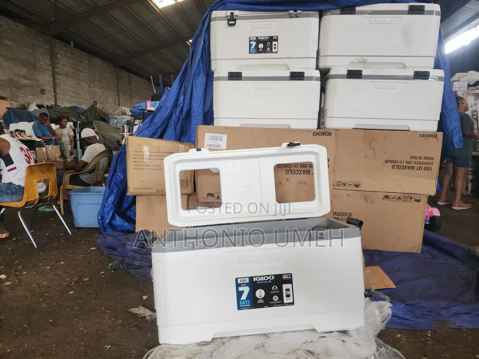 Igloo Max Cold 150qt Cooler
