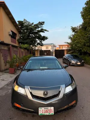 Acura TL 2010 Gray