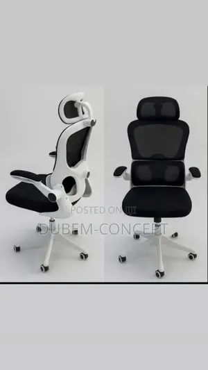 Quality Ergonomic Chair With Lumbar Support