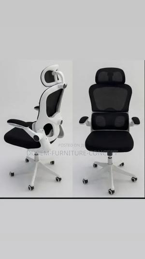 Quality Ergonomic Chair With Lumbar Support