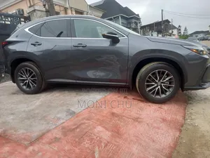 Lexus NX 2024 Gray