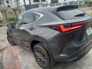 Lexus NX 2024 Gray