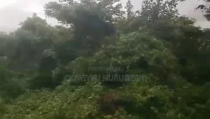 Land Available for Sale