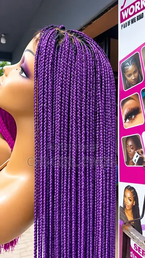 Braided Wig