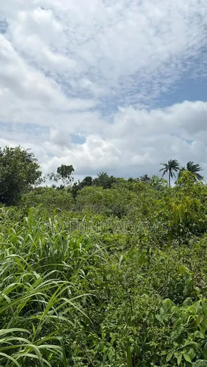 70acres of Land at Ilesa