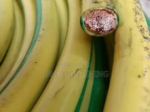 1x70mm Earth Wire