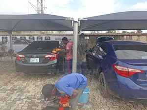 Buffing and Waxing of Cars