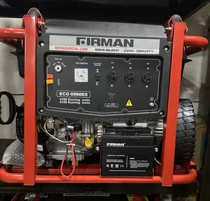 Firman Eco 8990es