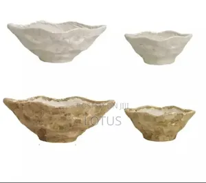 Shell Natural Planters