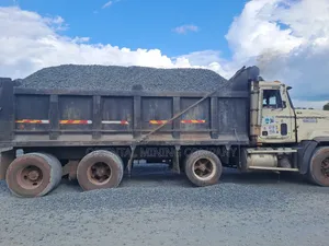 Fully Loaded Iron Chippings ,30t,40t Are Available for Your Constructi